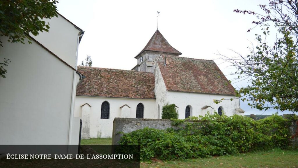 Église Notre-dame-de-l'assomption - Conches-sur-Gondoire (Île-de-France)